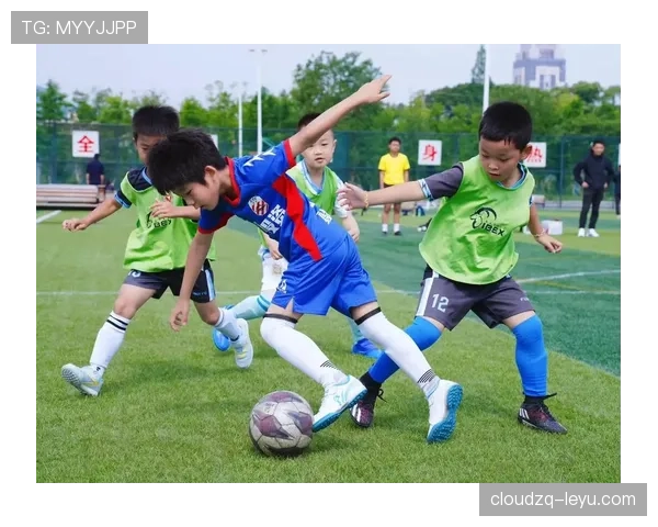日本主场迎战东亚杯,期待激情四溢的足球盛宴 日本主场迎战东亚杯,期待激情四溢的足球盛宴