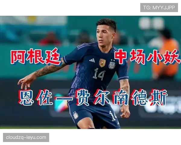 世界杯一战封神:恩佐如何改变职业生涯轨迹 世界杯一战封神:恩佐如何改变职业生涯轨迹