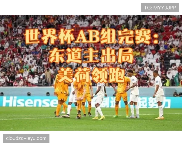 美国6分领跑D组：世界杯小组赛成绩整理